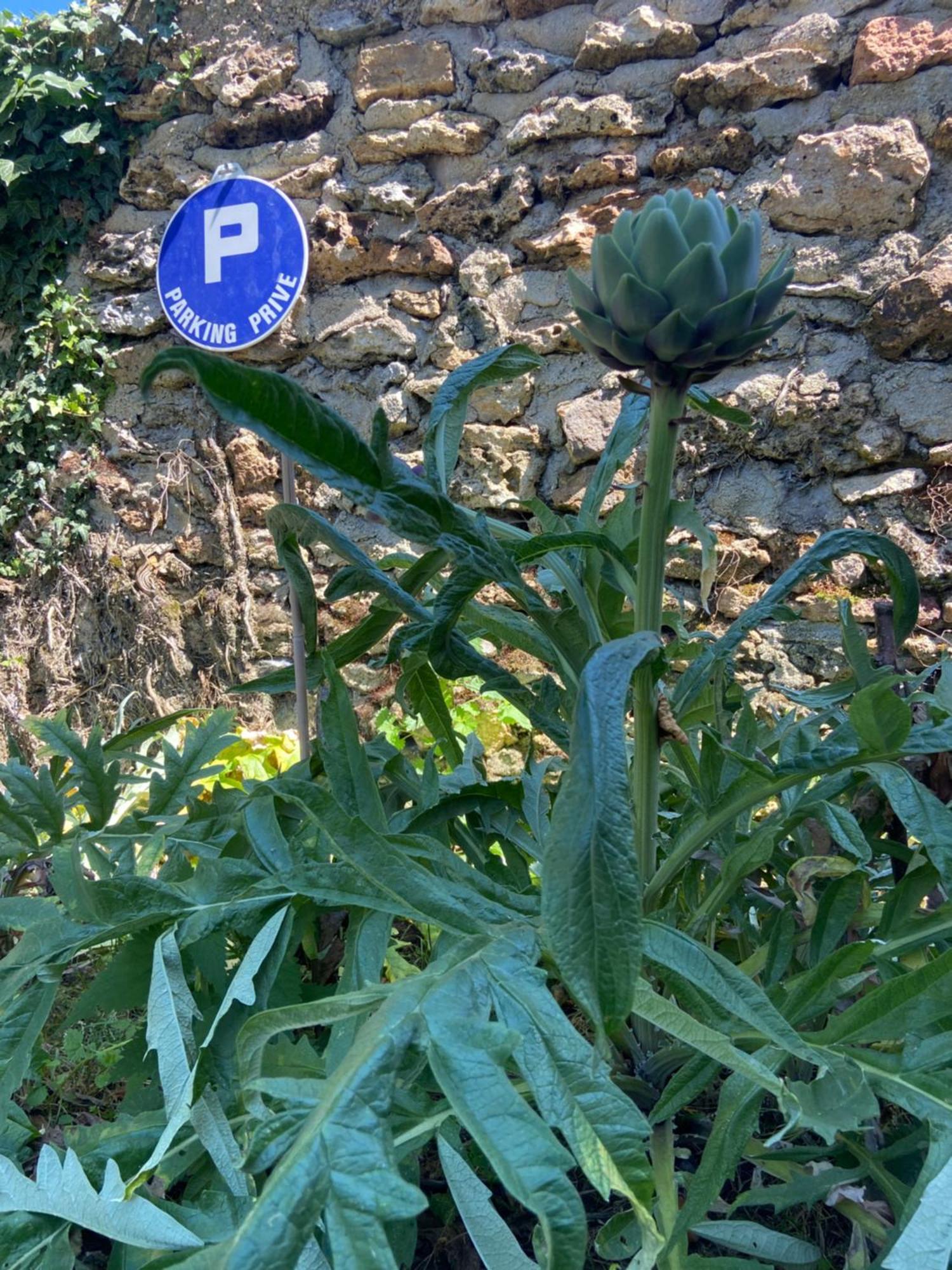 La Petite Maison Dans La Brie Guérard Exterior foto